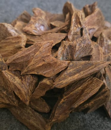 tunggul root