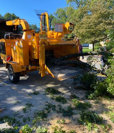 Tree service new Jersey