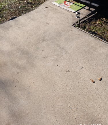 After driveway cleaning