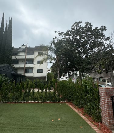 a house with a lawn and a fenced in area
