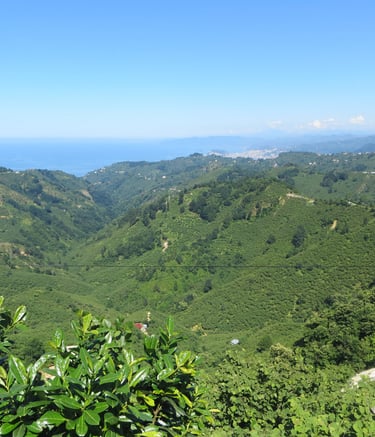 Hills around Bulancak