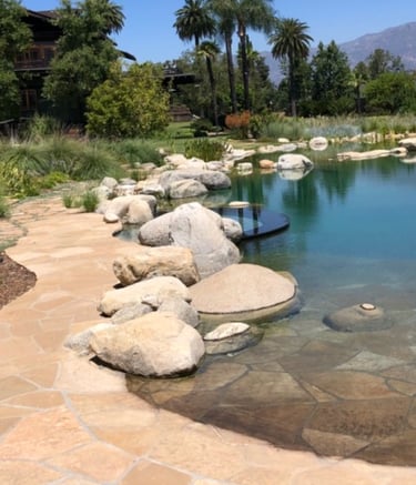 Natural swimming pool with integrated soaking tubs and biological plant filtration in Malibu, CA.