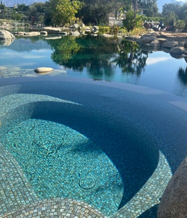 Natural swimming pool with integrated soaking tubs and biological plant filtration in Malibu, CA.