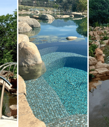 Three natural pool styles: traditional, hybrid & naturalistic design types | Aqua Vitae showcase