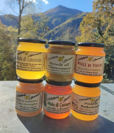 sei vasetti di miele  della Mieleria Garnero sul coperchio di un'arnia, con un bosco come sfondo