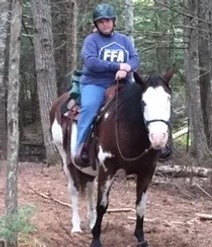 a woman riding a horse in the woods