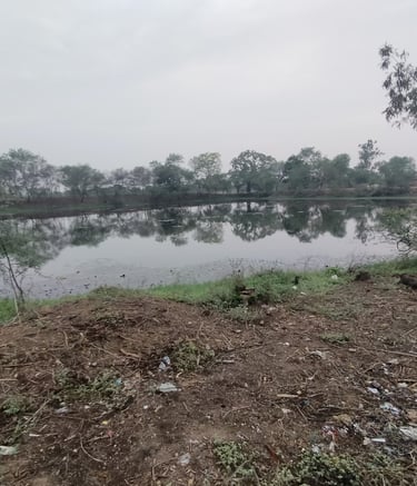 Pond 