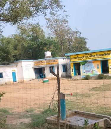 ground of school