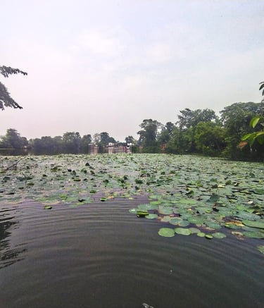 pond