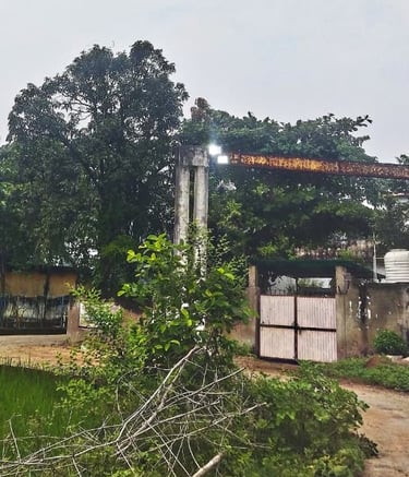 gate