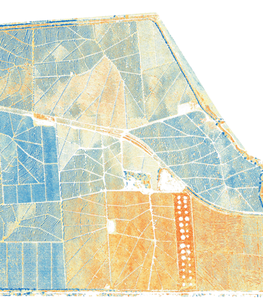 Agriculture plot survey