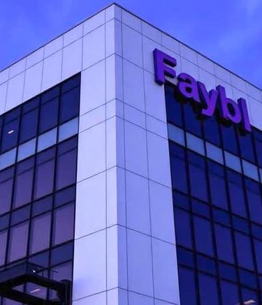 Financial Advisory Wealth Management Disruptor