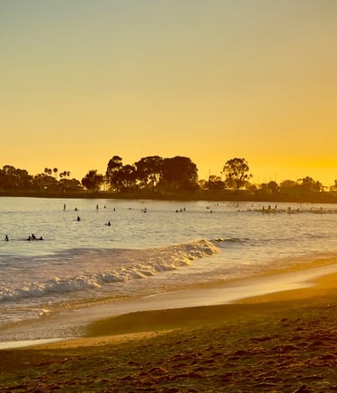 viBBes - nature, music, sunset content creators 