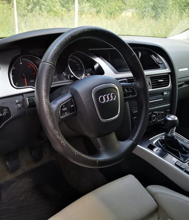 detailing interior audi