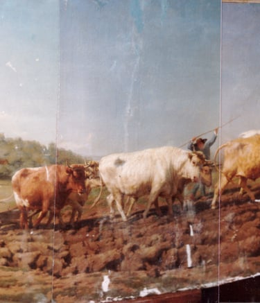 sybille ingold restauratrice tableau 2 avant