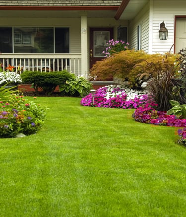 a house with a lawn and flowers in the front yard