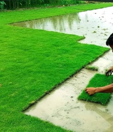 lawn grass installation in Hyderabad