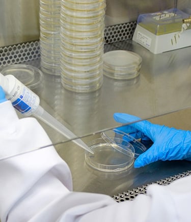 "Profissional manipulando amostras de laboratório em bancada equipada."
