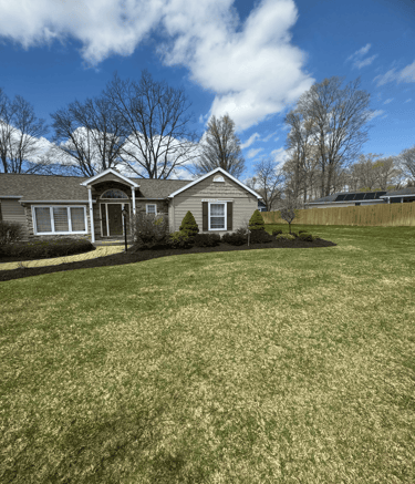 A freshly mulched garden bed