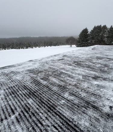 A shoveled roof