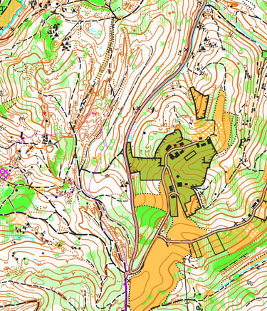 Šumske karte za orijentacijski sport