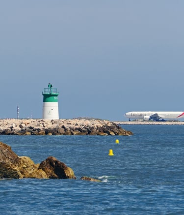 OLEIS AEROPORT DE NICE