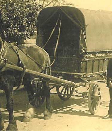 Phipps Weston, the carrier