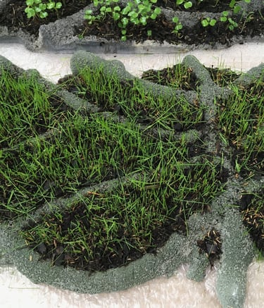 béton végétal et compostable