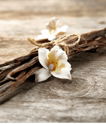 Fair-trade gourmet vanilla bean pods from Uganda, Africa 