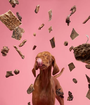 /oem-pet-treats