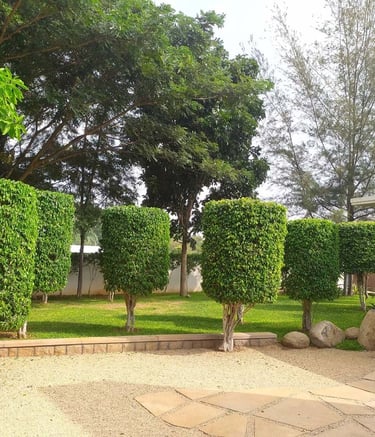 Corporate office landscape with formal green designs and water features by Garden Designers