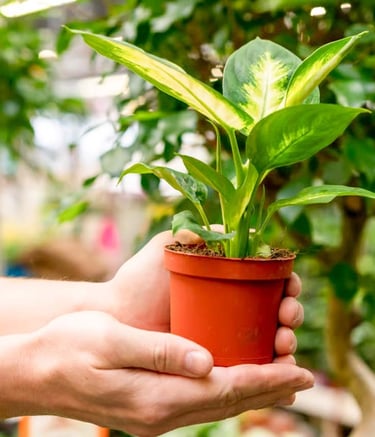 CSR project site transformed with sustainable garden features by Garden Designers