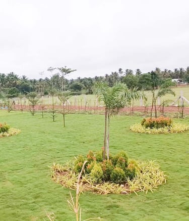 Structured industrial outdoor space with durable green elements by Garden Designers