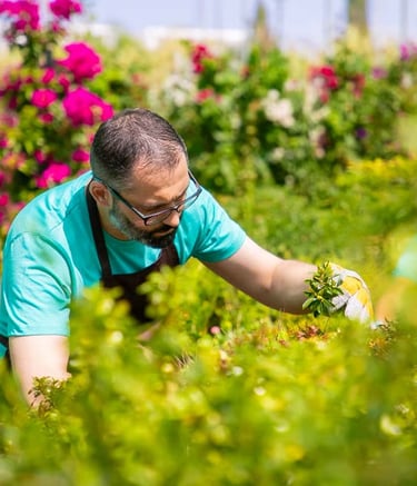 Garden Designers’ professional providing tailored green space solutions during a consultation