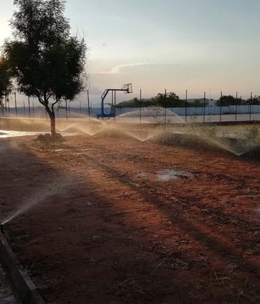 Automated irrigation system watering a modern landscape by Garden Designers