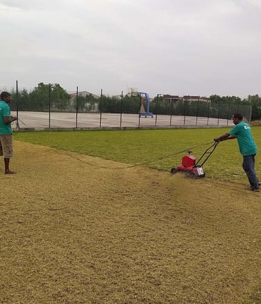 Garden Designers team pruning, mulching, and nurturing plants during landscape maintenance