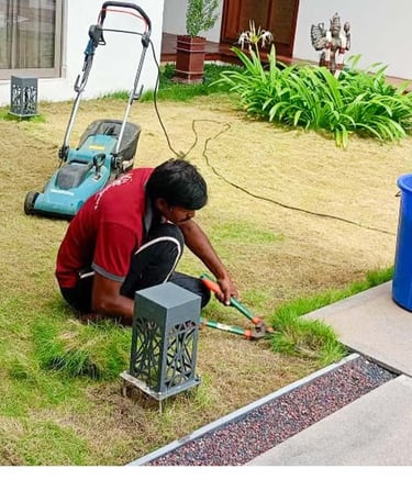 Healthy and thriving landscape under regular maintenance by Garden Designers