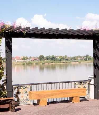 Sleek steel pergola over patio with climbing plants by Garden Designers