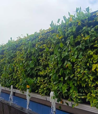 Biowall filled with ornamental and air-purifying plants by Garden Designers