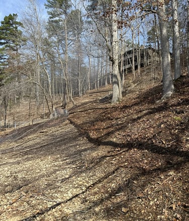 After cleaning damaged from ice storm in Counce, TN Winn Springs Cove