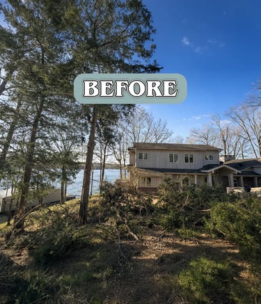 Cedar Tree Storm damage in Iuka, MS on Pickwick Lake