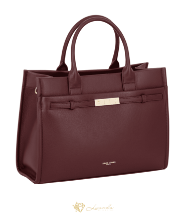 sac à main bordeaux David Jones Clara élégant avec fermeture dorée – Luanda Steel & Style