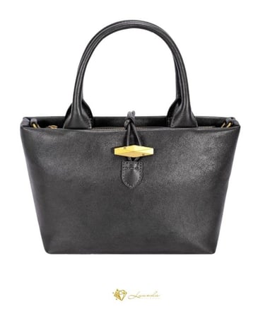 sac à main noir David Jones modèle Camille avec fermoir doré – 23 x 18 x 10 cm – Luanda Steel.