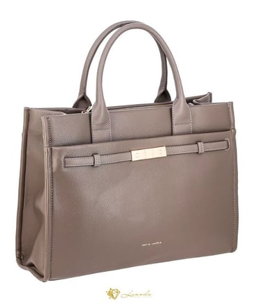 sac à main taupe David Jones Clara avec fermoir doré – élégant et pratique – Luanda Steel & Style