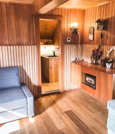 Cozy wooden cabin interior featuring a gray sofa, wood paneled walls, and a small fireplace.