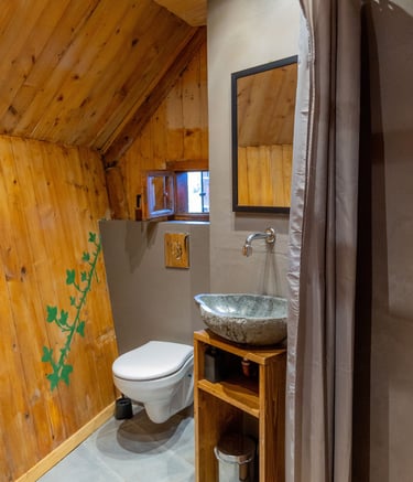 Rustic bathroom with wood paneled walls, a stone vessel sink, and a modern wall-mounted toilet.