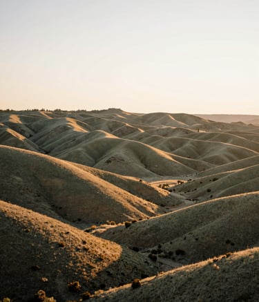 A wide-angle landscape shot of the high desert terrain near Redmond, Oregon, during the golden hour. The scene features distant sage green hills and a soft off-white sky, capturing the natural serenity of a North American / US Pacific Northwest evening.