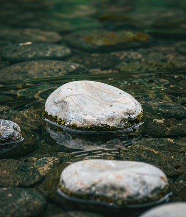 A close-up, serene photograph of smooth river stones submerged in clear, gentle water, reflecting a soft moss green light. The composition is calm and professional, set in a North American / US natural park area, using a palette of dark forest green and creamy off-white.