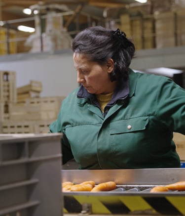 Vidéaste entreprise à Lille en tournage vidéo corporate