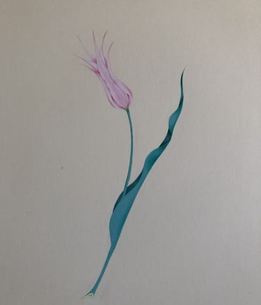 Şukufe  Minyatür Deneme sulu boya ve tahrir çalışması